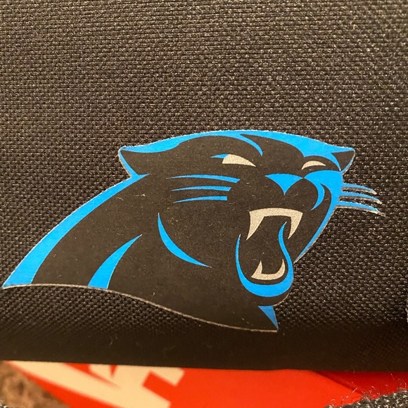 Panthers Insulated Bag - Picture 2 of 5